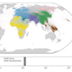İnsanların En Büyük Aile Ağacı: 27 Milyon Ata
