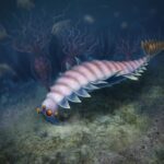 Bir Asır Sonra Keşfedilen İkinci Opabinid