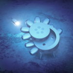Proteus_Backside-angle-view-POG-1536×1084[1]