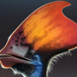Pterozorlar Tüylerinin Rengini Değiştirebiliyordu