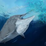 Deniz Seviyesinin 2.800 Metre Üstünde Dev Deniz Sürüngenleri