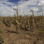Su Kıtlığı, Tarım Alanlarının %80’inden Fazlasında Artacak