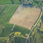 Avrupa’daki Tarım Arazileri, Dünyanın En Büyük Mikroplastik Deposu Olabilir