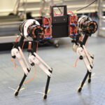 Yürümeyi Sadece Bir Saatte Öğrenen Robot Köpek