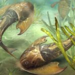 Yeni Balık Fosilleri, Yüzgeç ve Uzuvların Evrimine Işık Tutuyor