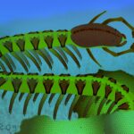 En Eski Beyin Fosili, Beynin Evrim Hikayesini Yeniden Yazıyor