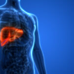 Cüzzam Bakterisi Karaciğeri Büyütüp Yenileyebilir