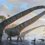 Bu Dinozorların 15 Metrelik Boynu, Doğa Kanunlarına Meydan Okuyordu