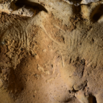 Neandertaller 57 Bin Yıl Önce Sanat Yapıyor Olabilirdi