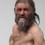 Buz Adam Ötzi’nin Ataları Anadolu’da Yaşıyordu