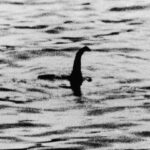 “Loch Ness Canavarı” Yarım Asır Sonra, Bu Hafta Sonu Tekrar Aranacak