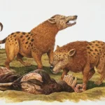 age-of-the-dinosaurs-mammal-predators