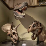 Dinozorlar Dünya’ya Hiç Gerçek Anlamda Hükmetmemişti. İşte Bunun 4 Sebebi