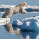 Kuzey Kutbu 10 Yıl İçerisinde ‘Buzsuz’ Kalabilir