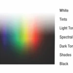 Color-Book-Diagrams-tints-tones-shades_up-res