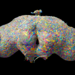 3D-rendering-of-all-140k-neurons-in-the-fruit-fly-brain[1]