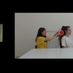 apes-objects[1]