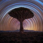 53477_Benjamin_Barakat_Dragon-Trails[1]