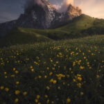 53775_Mario_Marini_Gold-And-Stone-Cont[1]