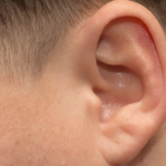 İnsanların Çoğu Bu Kasları 25 Milyon Yıldır Hareket Ettirmedi