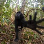 Dario-Nessi_Sir-no-photos-please-copy[1]