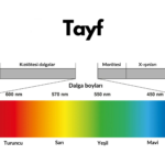 Tayf