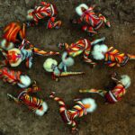 csm_Yashpal_huli_r_5d2c5121aa[1]