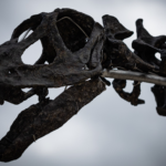 dinosaur-bones-extinction[1]