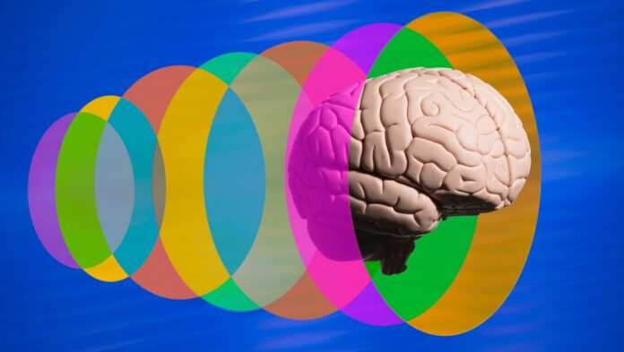 Brain trough meta verse tunnel