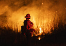 Orman Yangınlarını Başlatan Şey Ne? Cevap Çoğu Zaman Gizemli