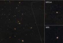 Bilim İnsanları Dünya’ya Asteroit Çarpma Olasılığını Nasıl Hesaplıyor?