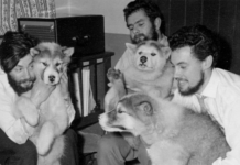 1959’da Kaybolan Bilim İnsanının Bedeni Güney Kutbu’nda Bulundu