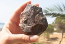 Eski İnsanlar Avrupa’ya Türkiye’deki Kara Köprüsüyle Ulaşmış