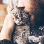 Kedi Sahibi Olmak İnsanların (ve Kedilerin) Beynini Nasıl Etkiliyor?