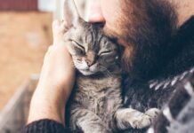 Kedi Sahibi Olmak İnsanların (ve Kedilerin) Beynini Nasıl Etkiliyor?