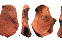Neandertaller ‘Pastel’ Kullanarak Boya Yapmış